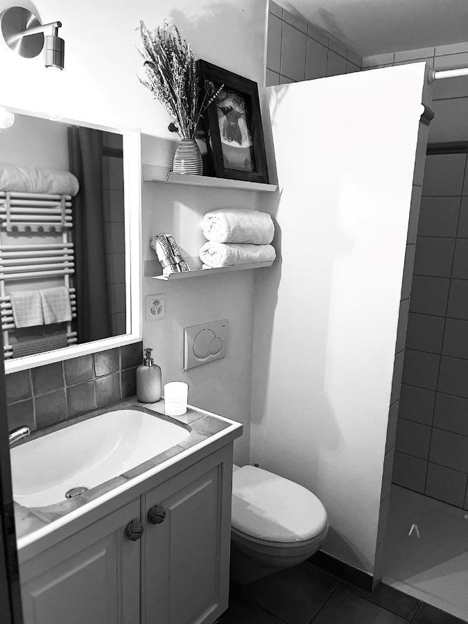 Chalet Apartment Serenity Lodge Charmey Dış mekan fotoğraf