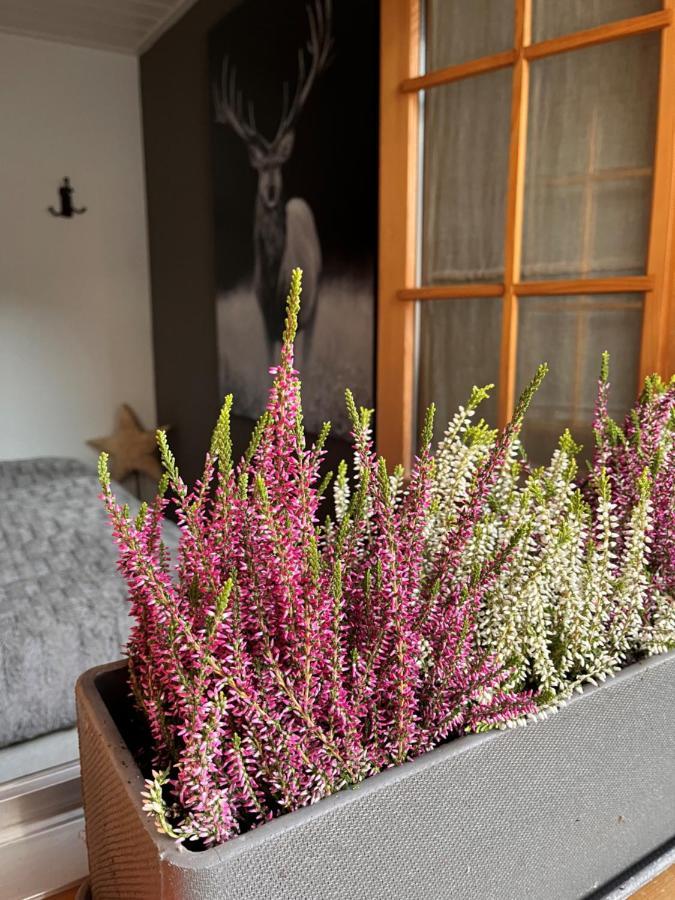 Chalet Apartment Serenity Lodge Charmey Dış mekan fotoğraf
